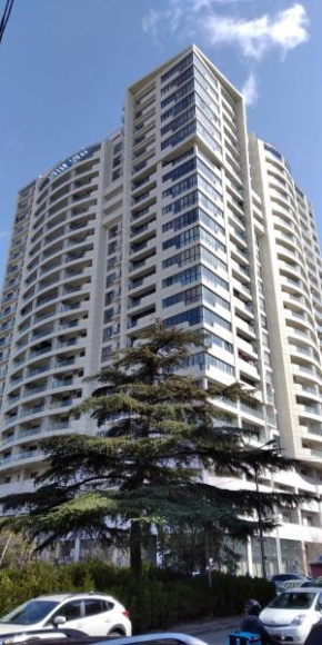 Orexus tower pekini Tbilisi